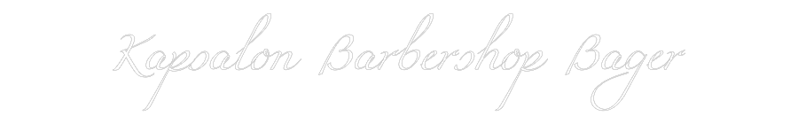 Custom Neon: Kapsalon Barb...