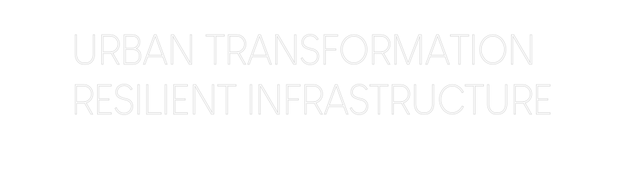Custom Neon: URBAN TRANSFO...