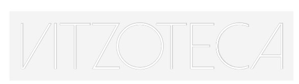 Custom Neon: VITZOTECA